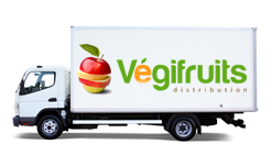 Vegifruits distribution inc. services